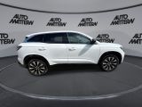 Renault Austral bei Gebrauchtwagen.expert - Abbildung (8 / 15)