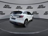 Renault Austral bei Gebrauchtwagen.expert - Abbildung (7 / 15)
