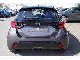 Mazda 2 bei Gebrauchtwagen.expert - Abbildung (7 / 15)