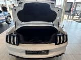 Ford Mustang bei Gebrauchtwagen.expert - Abbildung (6 / 15)