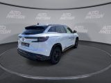 Renault Austral bei Gebrauchtwagen.expert - Abbildung (5 / 15)