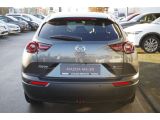 Mazda MX-30 bei Gebrauchtwagen.expert - Abbildung (8 / 15)