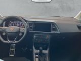 Cupra Ateca bei Gebrauchtwagen.expert - Abbildung (11 / 15)