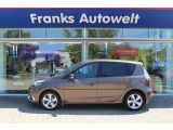 Renault Scenic bei Gebrauchtwagen.expert - Abbildung (9 / 15)