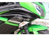 Kawasaki ER-6 bei Gebrauchtwagen.expert - Abbildung (11 / 15)