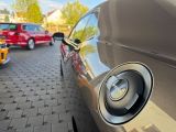 Dodge Challenger bei Gebrauchtwagen.expert - Abbildung (14 / 15)