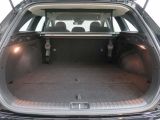 Kia Ceed bei Gebrauchtwagen.expert - Abbildung (7 / 15)