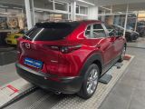 Mazda CX-30 bei Gebrauchtwagen.expert - Abbildung (4 / 11)